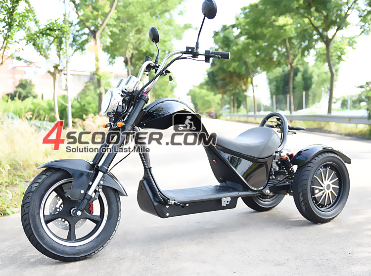 4000W EEC Approved Electric 3 Wheels Electric Chopper Citycoco Scooter